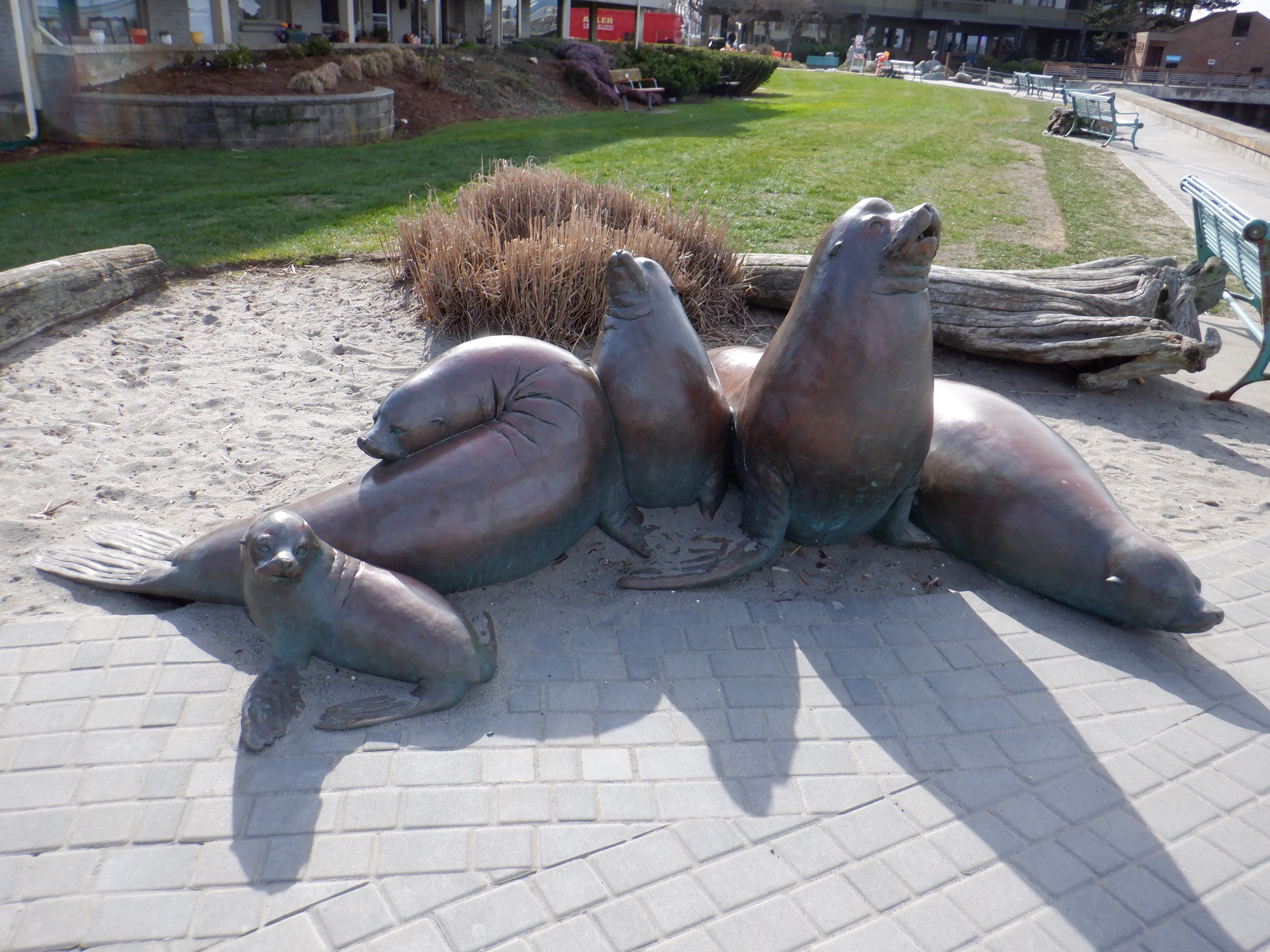 ./2020/03 - Seattle/AD_CF0909.JPG